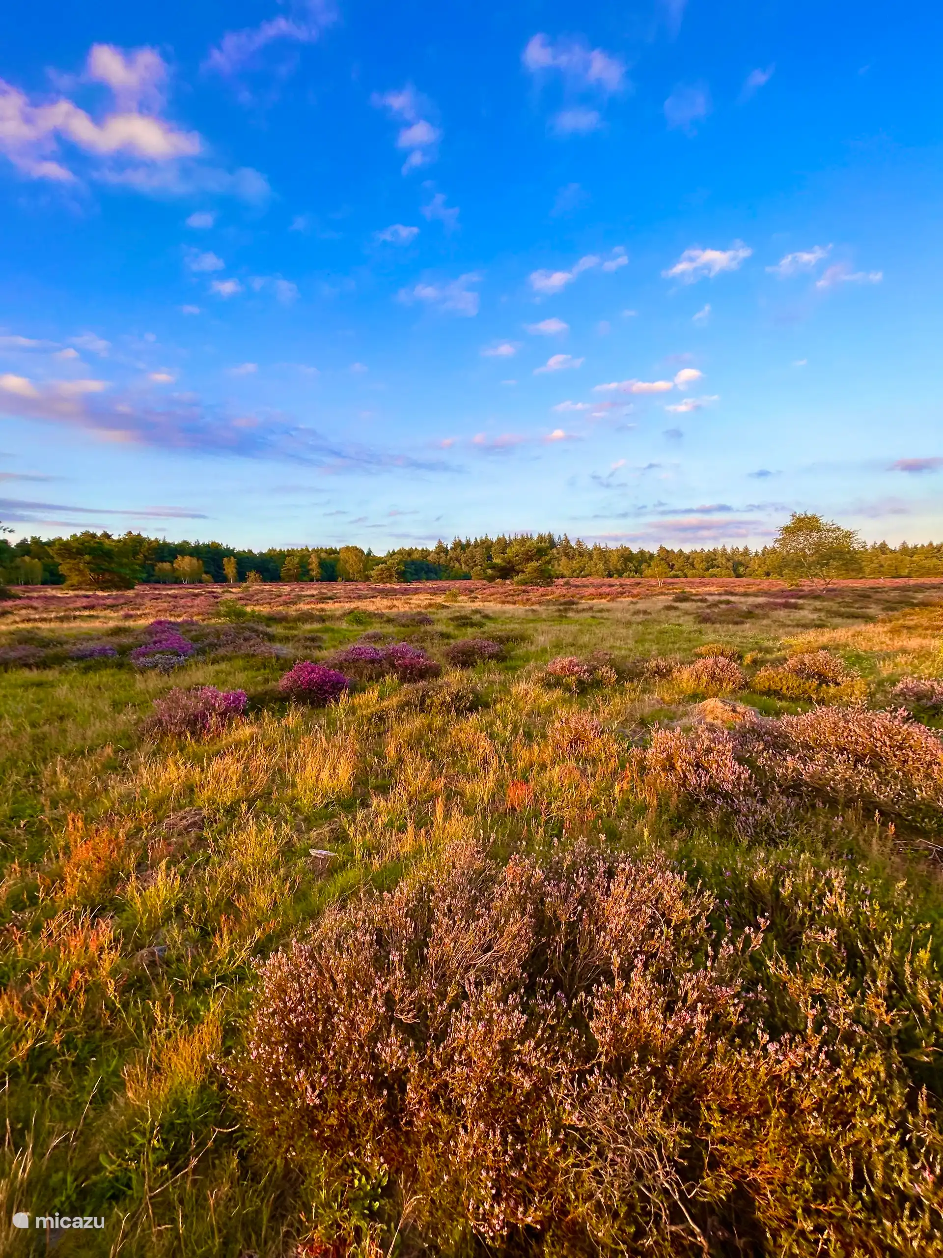 Heide zu Fuß erreichbar