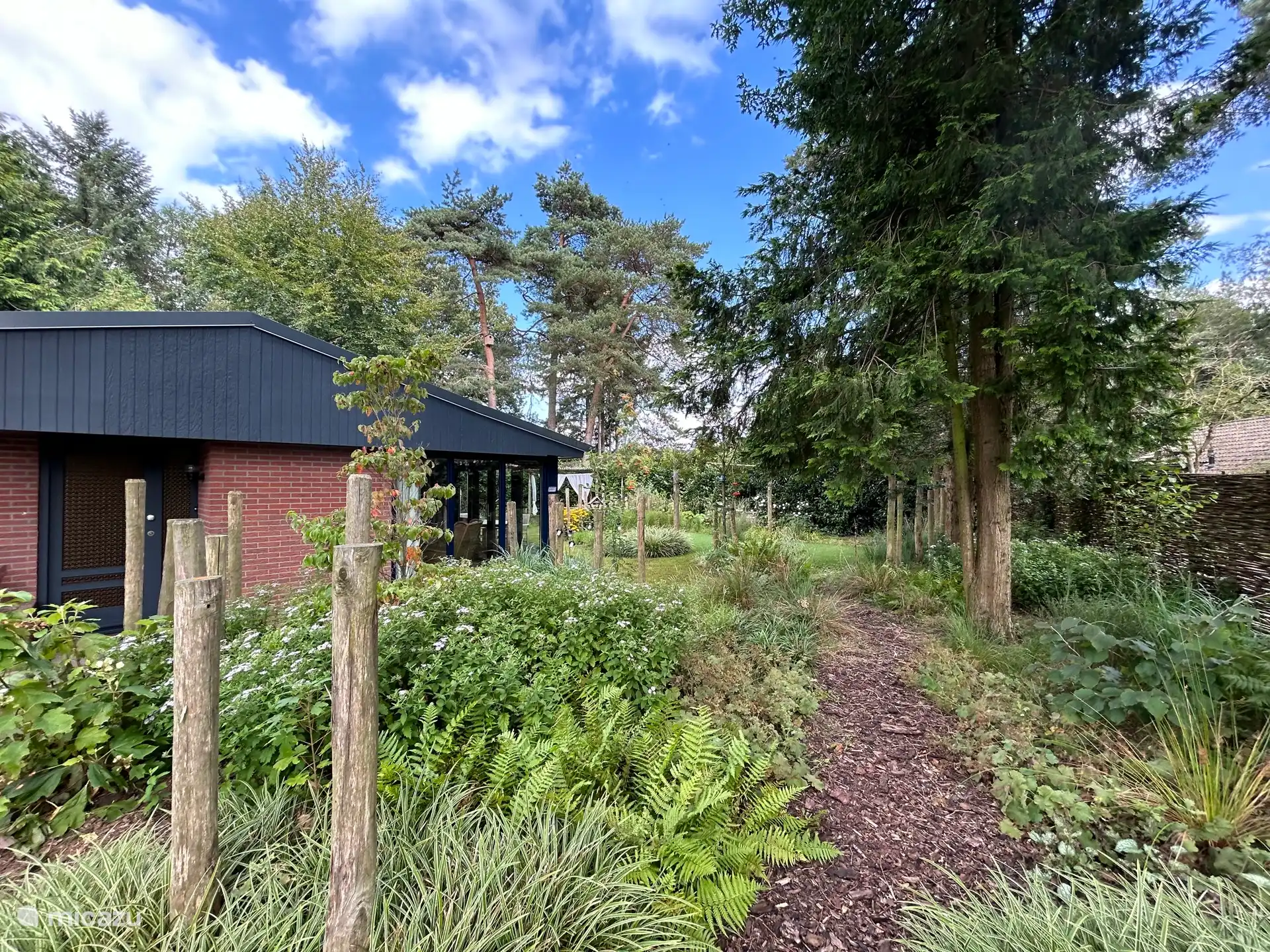 Ein echter Waldgarten mit vielen Nistkästen und Vögeln