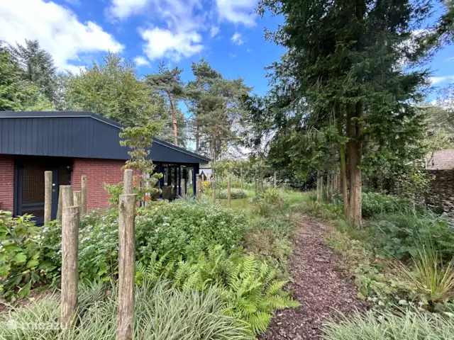 Le renard de la forêt | Pays-Bas, Gueldre, Wells - maison de vacances Un véritable jardin forestier avec de nombreux nichoirs et oiseaux