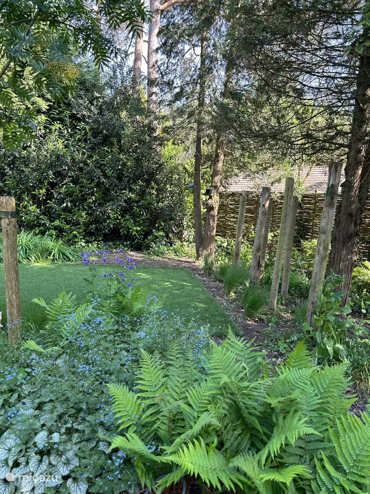 De Bosvos huren in Nederland, Gelderland, Putten - Vakantiehuis