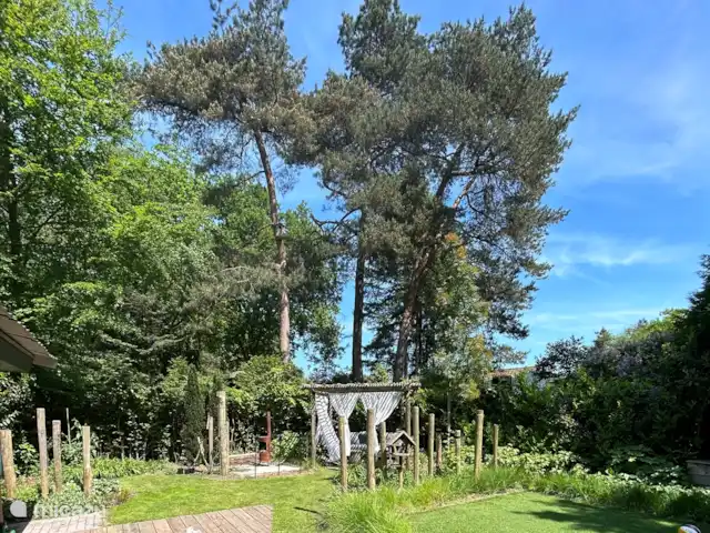 Le renard de la forêt | Pays-Bas, Gueldre, Wells - maison de vacances entouré de grands arbres et possibilité d’un feu en soirée sous la pergola