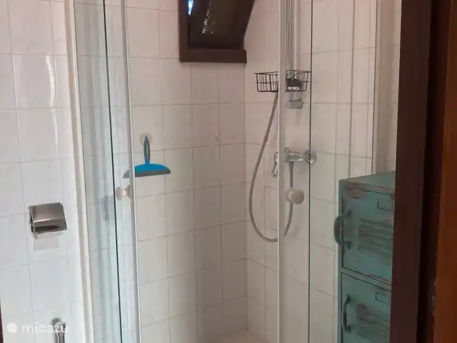 Le renard de la forêt | Pays-Bas, Gueldre, Wells - maison de vacances Salle de bain avec douche, lavabo et toilette