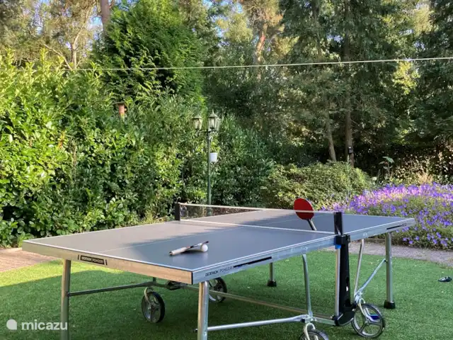 Le renard de la forêt | Pays-Bas, Gueldre, Wells - maison de vacances Ping-pong
