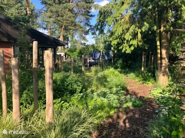 Le renard de la forêt | Pays-Bas, Gueldre, Wells - maison de vacances Jardin d’été 2