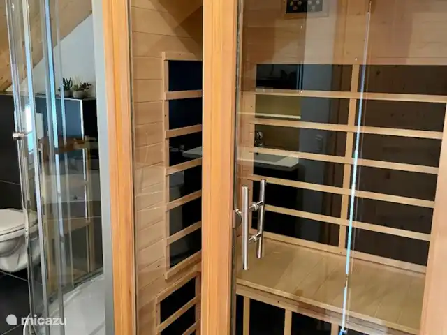 Location de Vacances Autriche, Styrie, Murau, chalet - Chalet Bellevue Murau Salle de bain 2 - 1er étage. Avec douche bien-être, sauna infrarouge et toilettes.