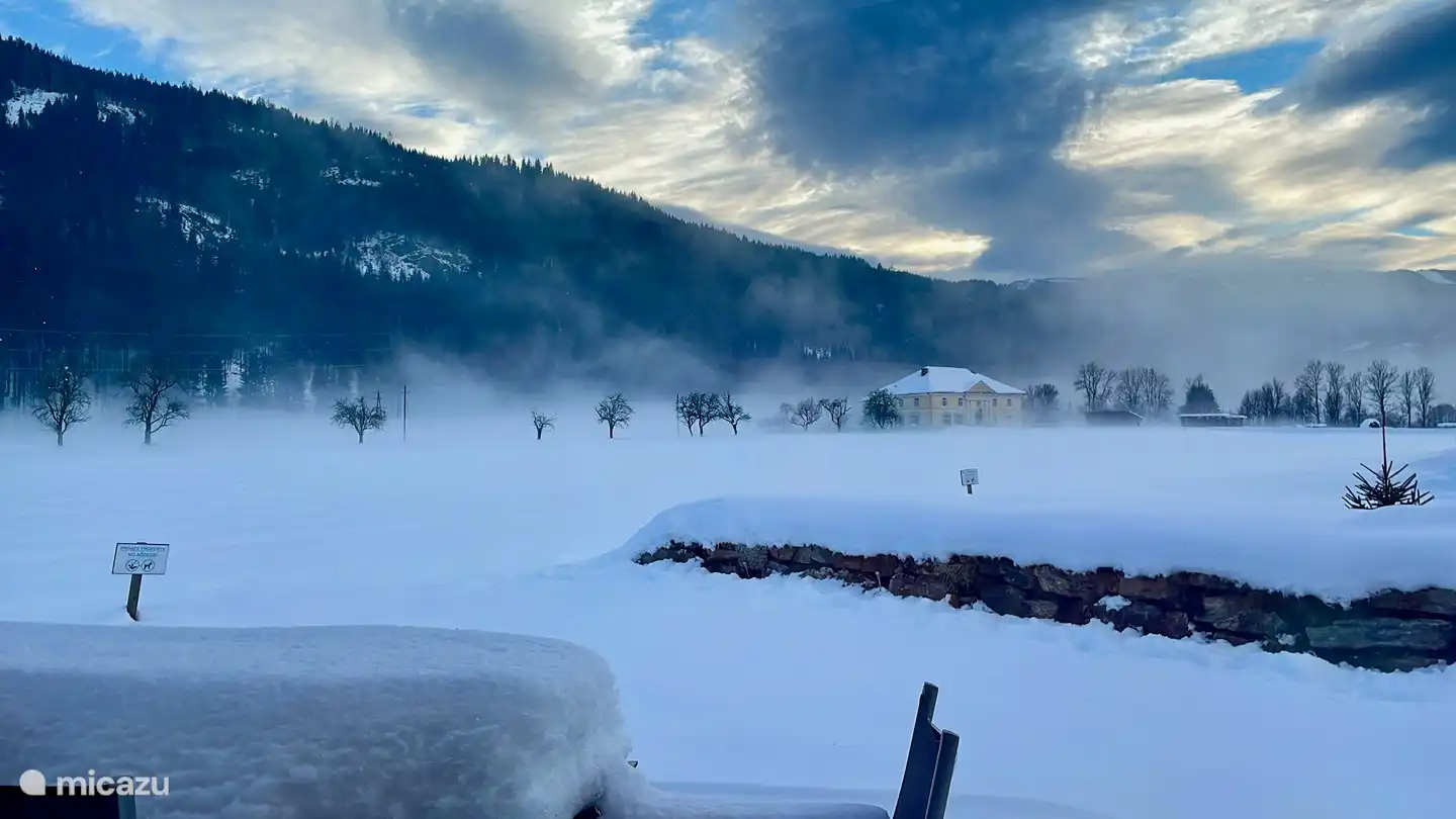 Vista al jardín - invierno 2021