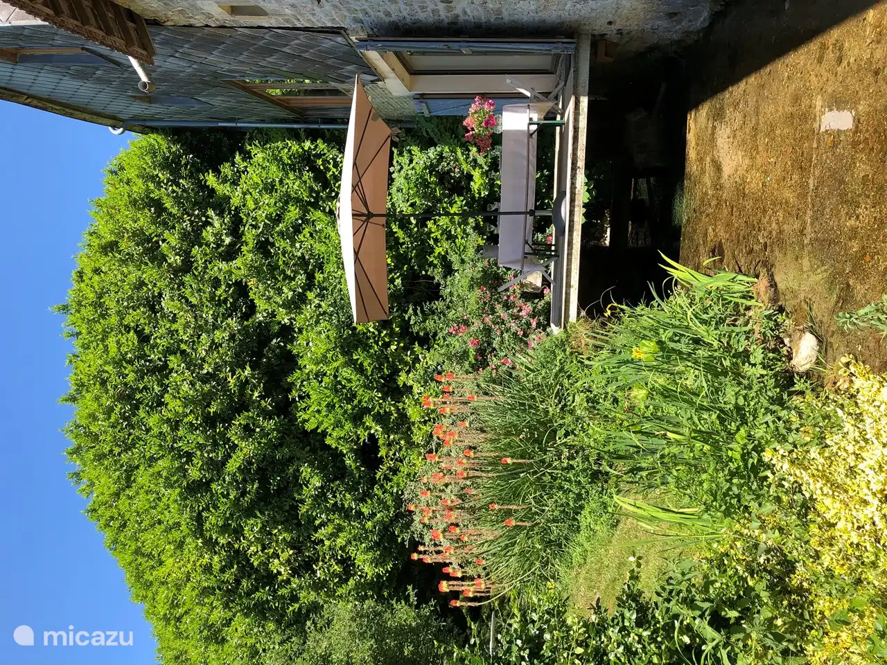 almorzar en el puente sobre el arroyo.