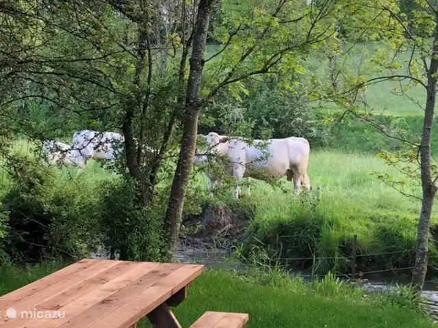 Le moulin à eau de Tourteron | France, Ardennes françaises , Tourteron - moulin