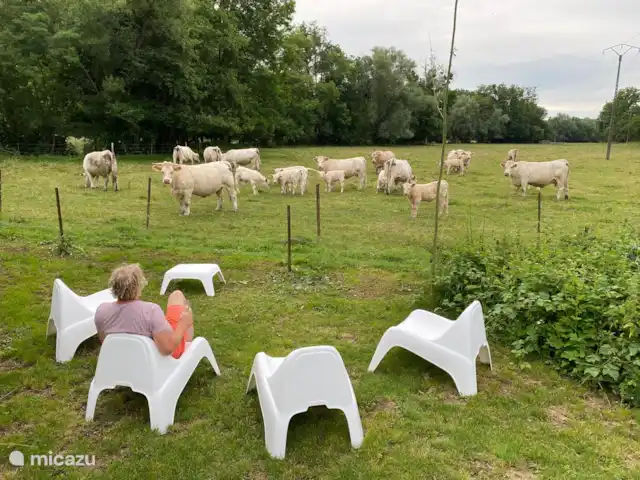 Le moulin à eau de Tourteron | France, Ardennes françaises , Tourteron - moulin