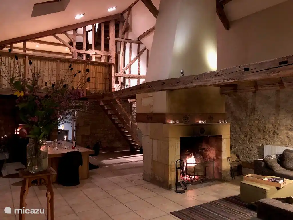 sal&#243;n con 2 chimeneas