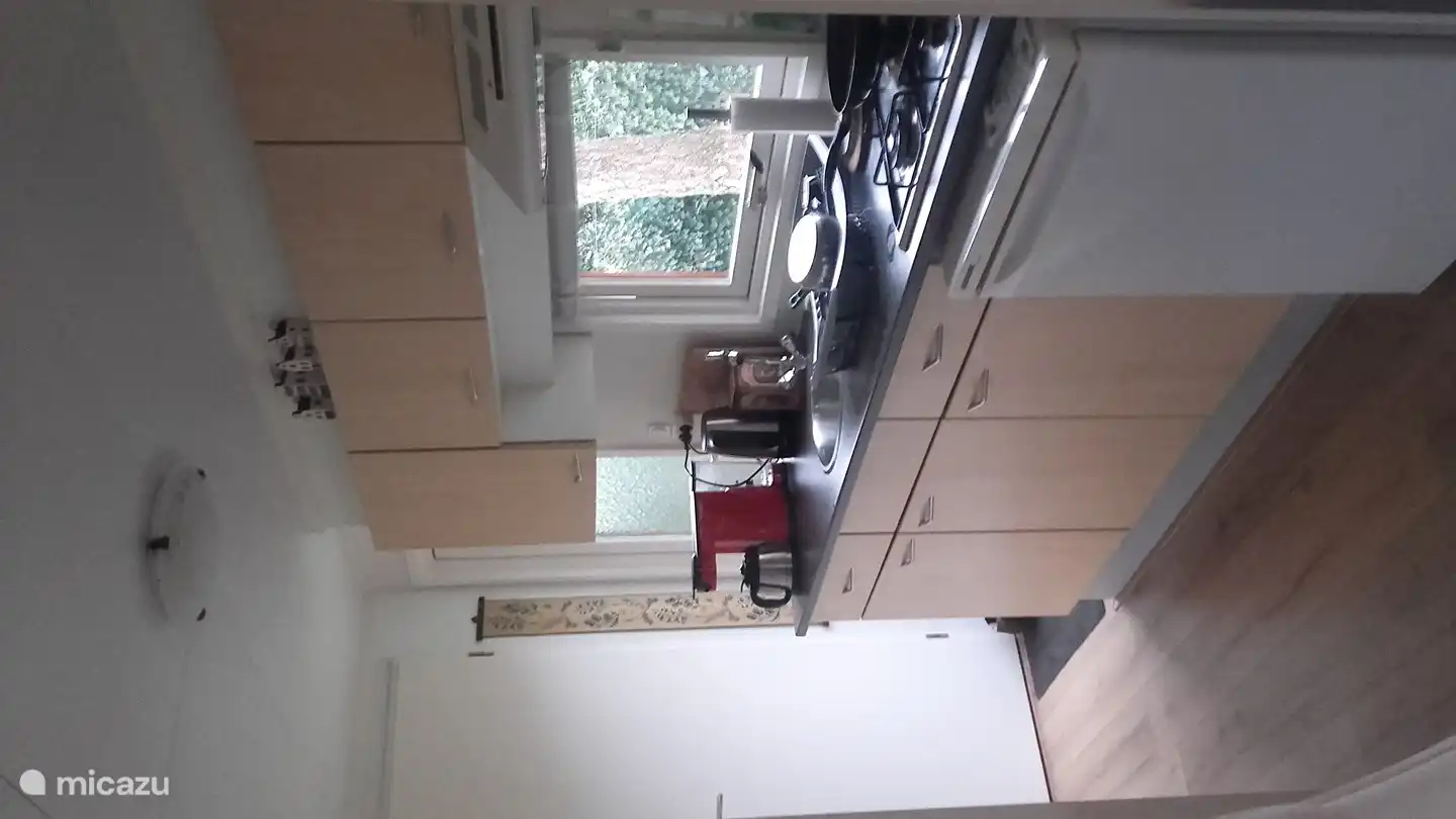 Alles, was für die Arbeit in der Küche benötigt wird, ist in der Nähe.