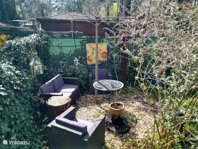 Location de Vacances Pays-Bas, Gueldre, Doornspijk, chalet - Chalet J8 dans l'arrière-cour est aussi un bel endroit où personne ne vous voit..