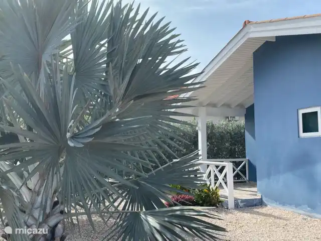 villa huren in Curaçao, Banda Abou (west), Cas Abao – 'Villa Bòu di Solo'