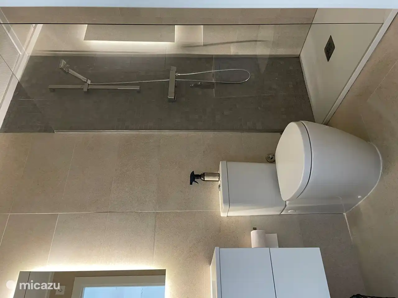 Salle de bain séparée avec toilettes