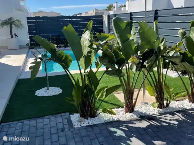 Vistabella Golf Casa Sueno | Espagne, Costa Blanca, Orihuela - maison de vacances Jardin atmosphérique où vous pourrez profiter de la paix et de l'intimité.