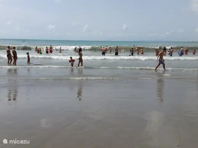 Casa Marina Surte en España, Costa Blanca, Torrevieja - apartamento