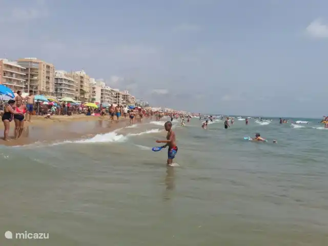 Casa Marina Surte en España, Costa Blanca, Torrevieja - apartamento