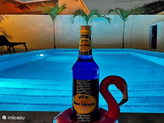 Villa Palmera en Curazao, Curazao Centro, Julianadorp - villa Por la noche
