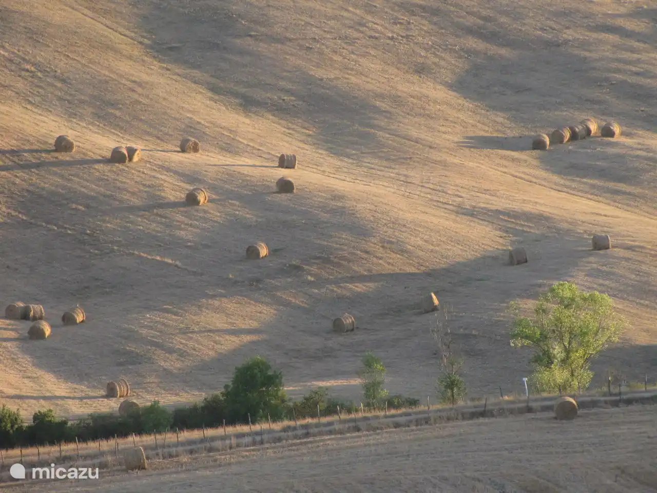 Die Bauern tragen dazu bei, die Toskana schön zu machen