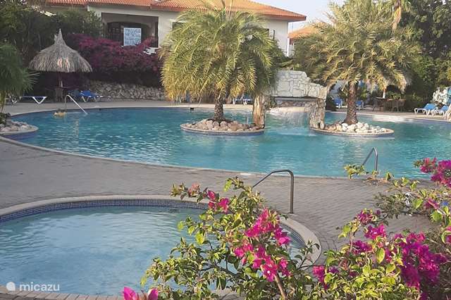 Ferienwohnung Curaçao, Curacao-Mitte – appartement Seru Coral schöne App 144 für 4 p