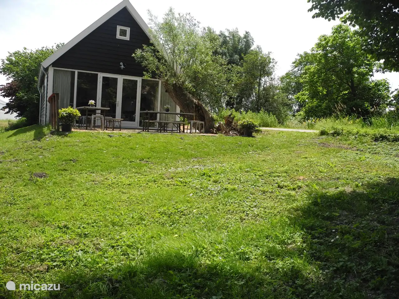 A green oasis in the summer