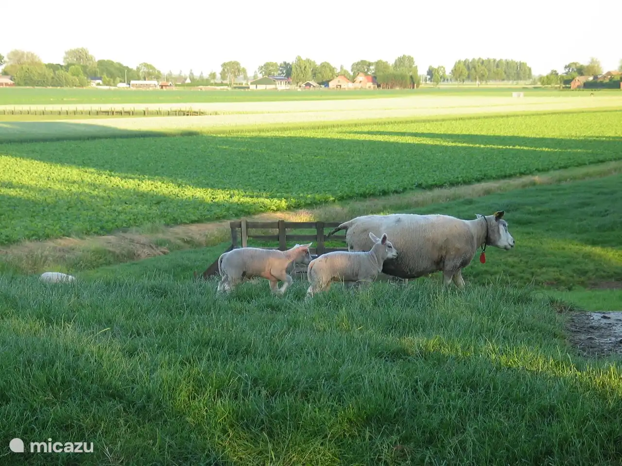 Beautiful farm landscape