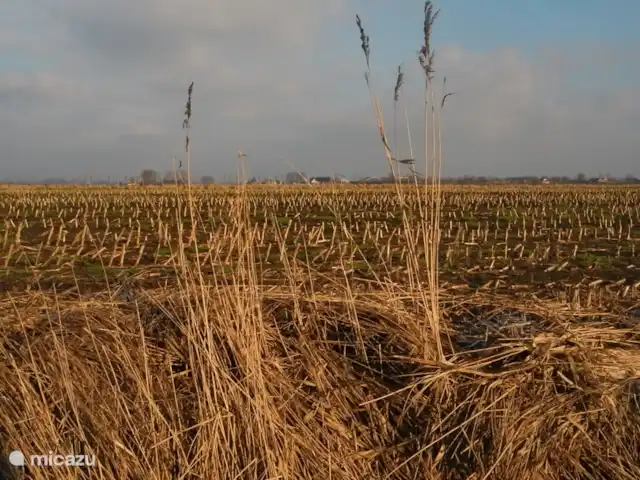 la casa de la sal en Países Bajos, Holanda Meridional, Nieuwveen - chalet Los prados