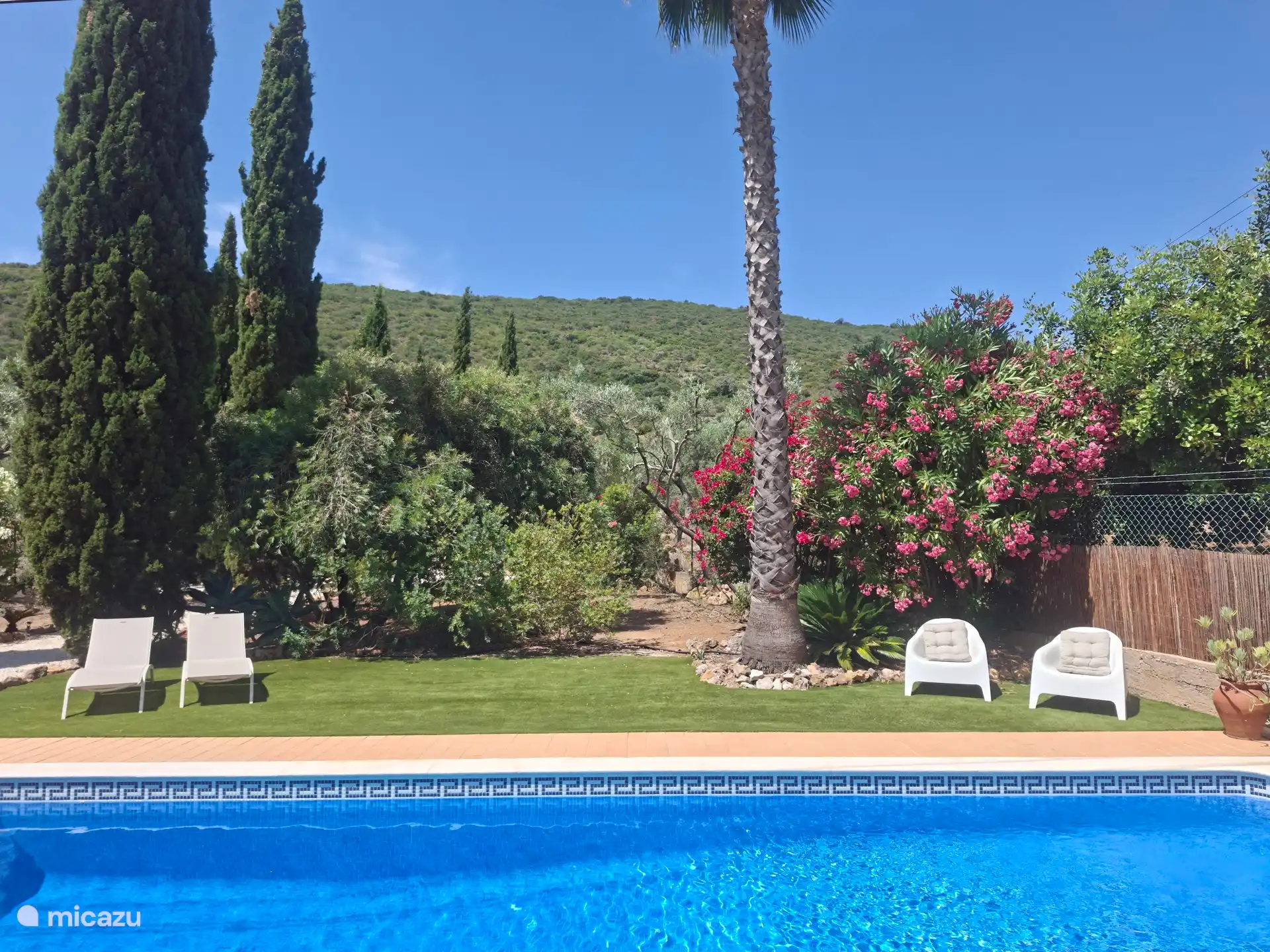 Vista desde la casa