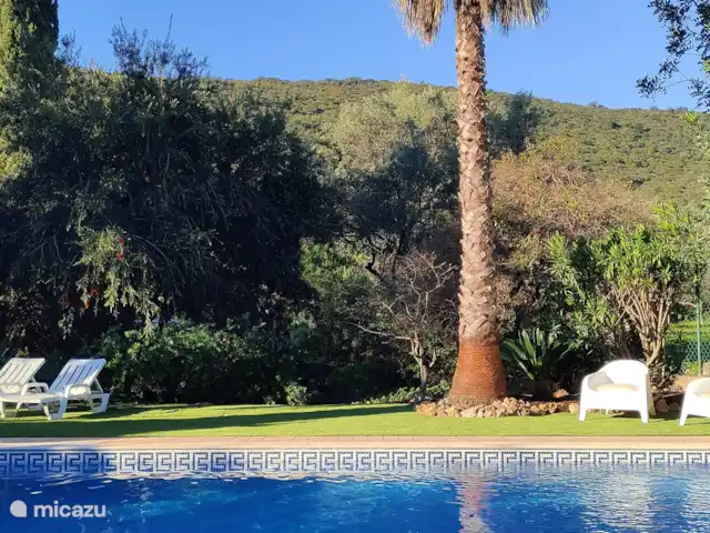 Boa Vida | Portugal, Algarve, Moncarapacho - villa Vue de la maison