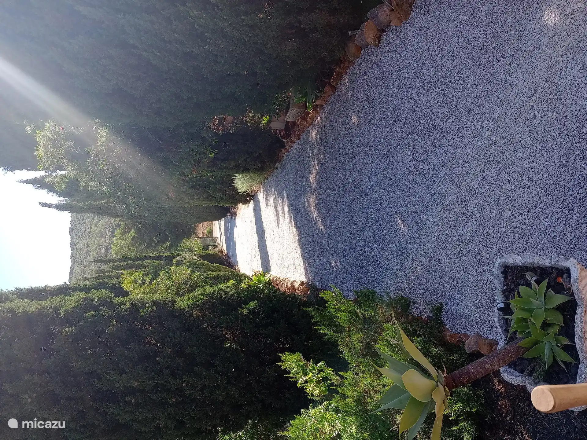 Driveway (viewed from the house to the road)