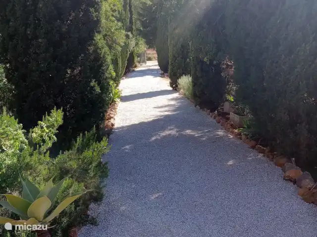 Boa Vida | Portugal, Algarve, Moncarapacho - villa Allée (vue de la maison à la route)