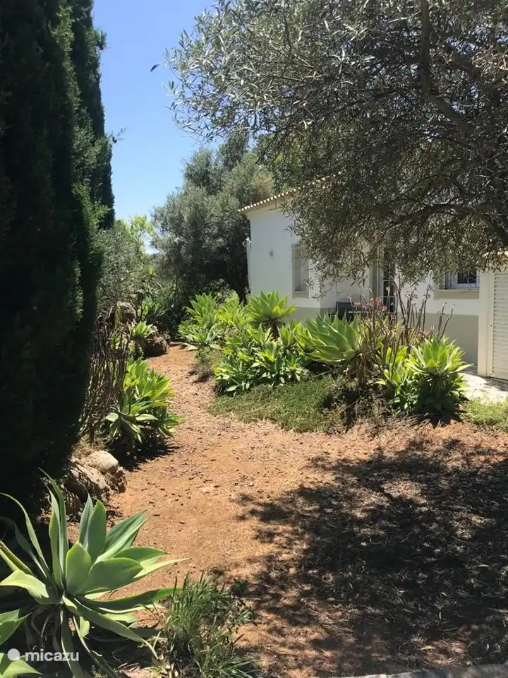 Garden behind the house with lots of space