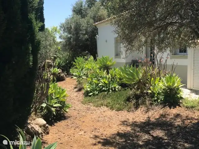 Boa Vida | Portugal, Algarve, Moncarapacho - villa Jardin derrière la maison avec beaucoup d'espace