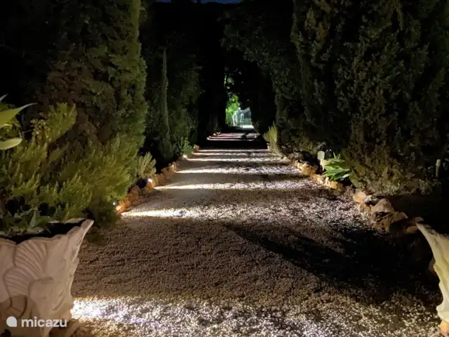 Boa Vida | Portugal, Algarve, Moncarapacho - villa Allée avec lumières (vue de la maison à la route)