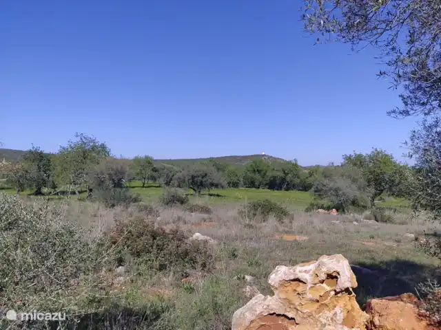Boa Vida | Portugal, Algarve, Moncarapacho - villa Les voisins à côté de la parcelle