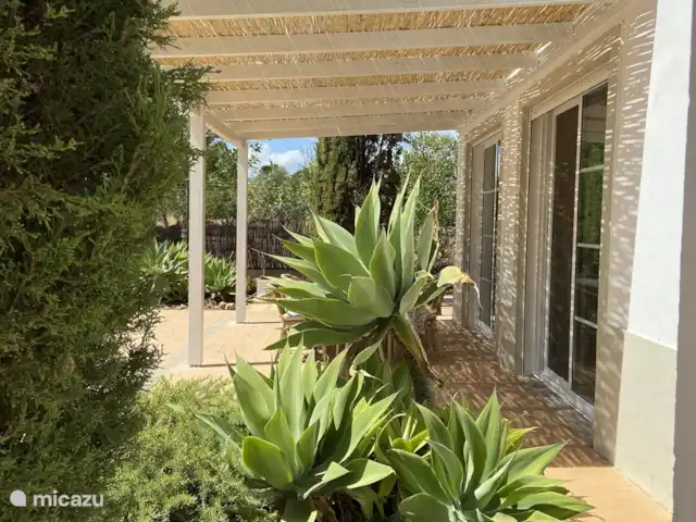 Boa Vida | Portugal, Algarve, Moncarapacho - villa Terrasse de côté
