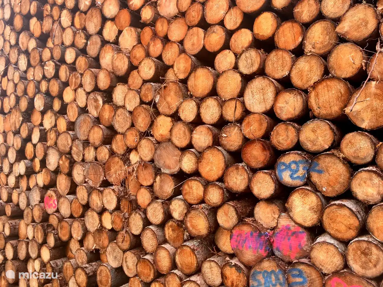 Waldholz vor der Tür