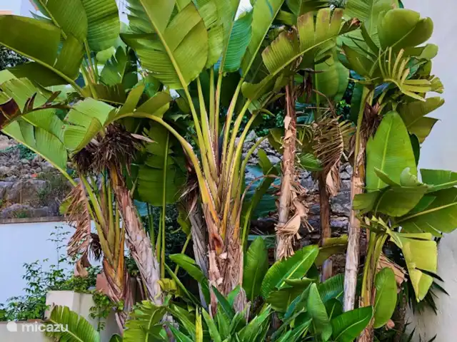 El encanto de Orba en España, Costa Blanca, Orba - villa