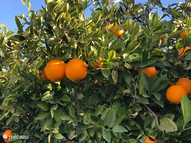 El encanto de Orba en España, Costa Blanca, Orba - villa