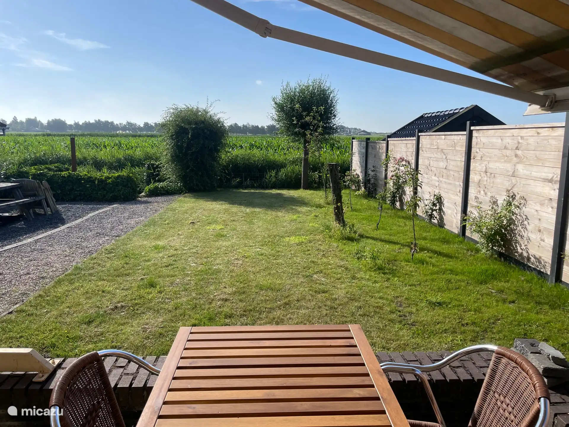 Jardin arrière avec nouvelle clôture et arbres fruitiers