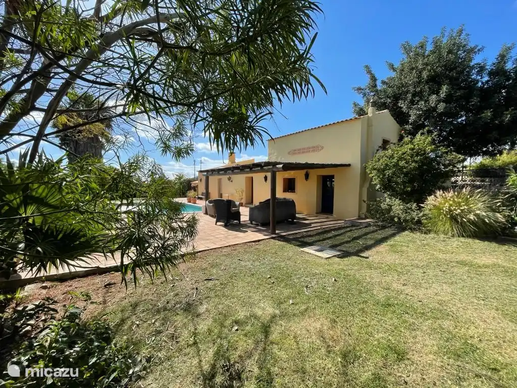 Campo de hierba rodeado de exuberante vegetación