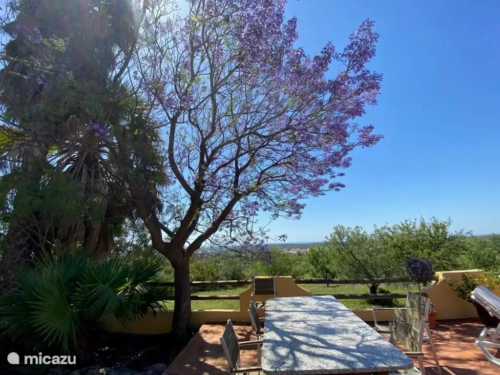 Vista al mar desde la terraza