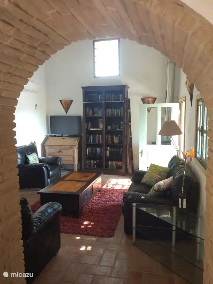 sala de estar con TV, biblioteca y estufa de leña