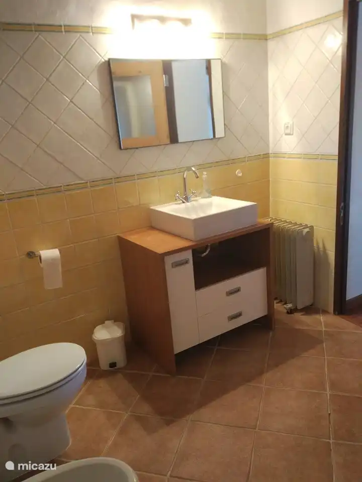 Cuarto de baño con 1 lavabo, ducha, inodoro y bidé
