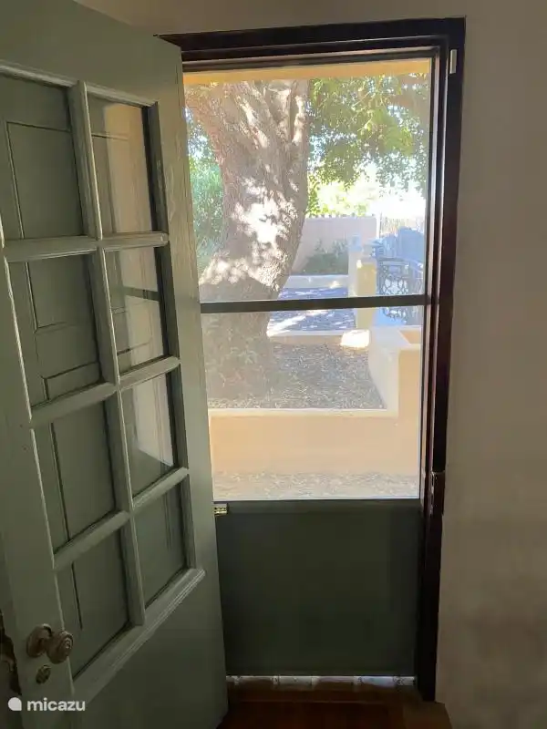 Vista hacia la alfalrroba, desde el dormitorio 3