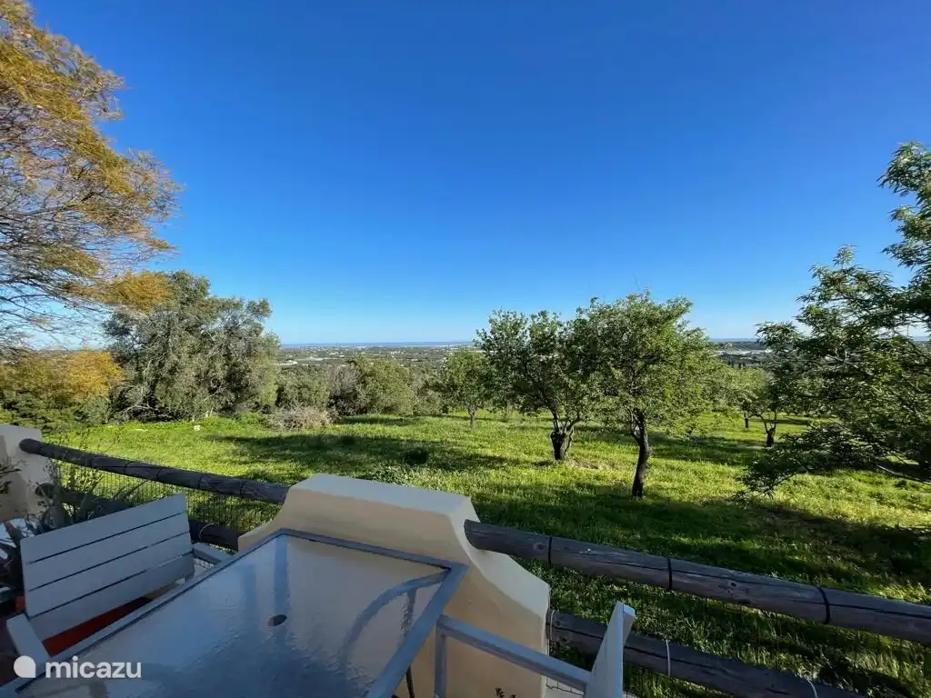 Mesa de comedor con vistas al huerto de almendros