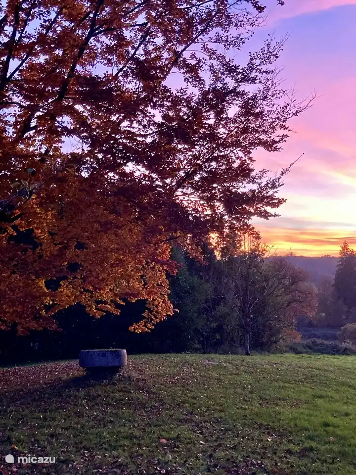 Chute dans notre jardin