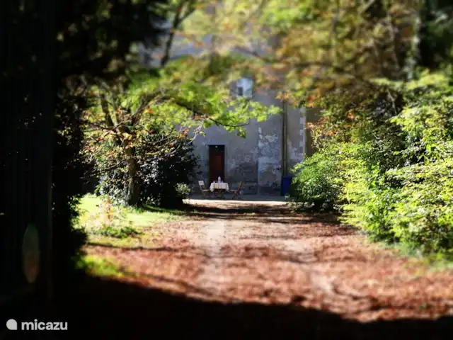 Château de Freyssinet - Jourdaine huren in Frankrijk, Haute-Vienne, Saint-Priest-Ligoure - gîte / cottage In de herfst