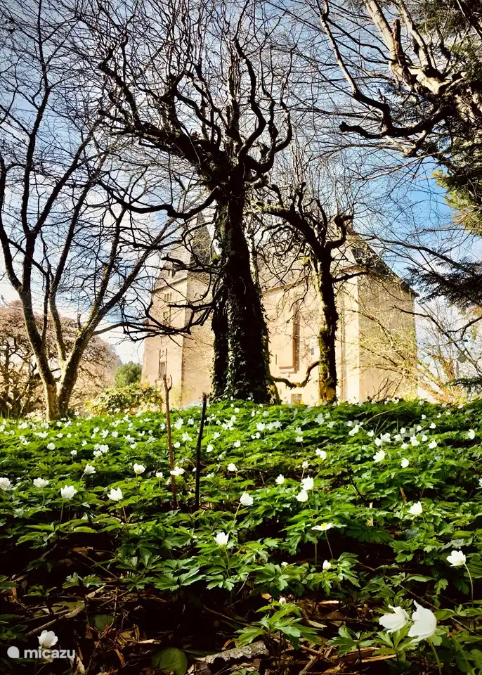 Printemps au château