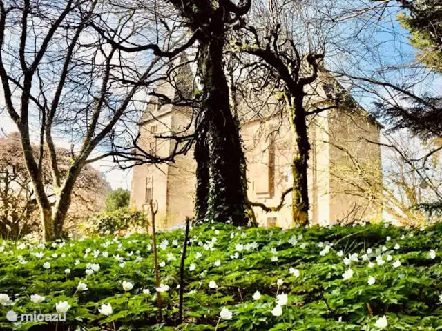 Château de Freyssinet - Jourdaine huren in Frankrijk, Haute-Vienne, Saint-Priest-Ligoure - gîte / cottage Lente op het chateau